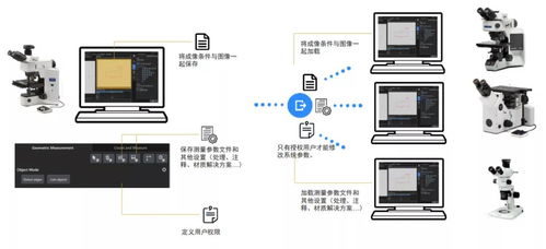 智能模塊驅(qū)動(dòng)高效可靠 奧林巴斯顯微鏡圖像處理軟件Preciv AI升級(jí)引領(lǐng)精準(zhǔn)新高度